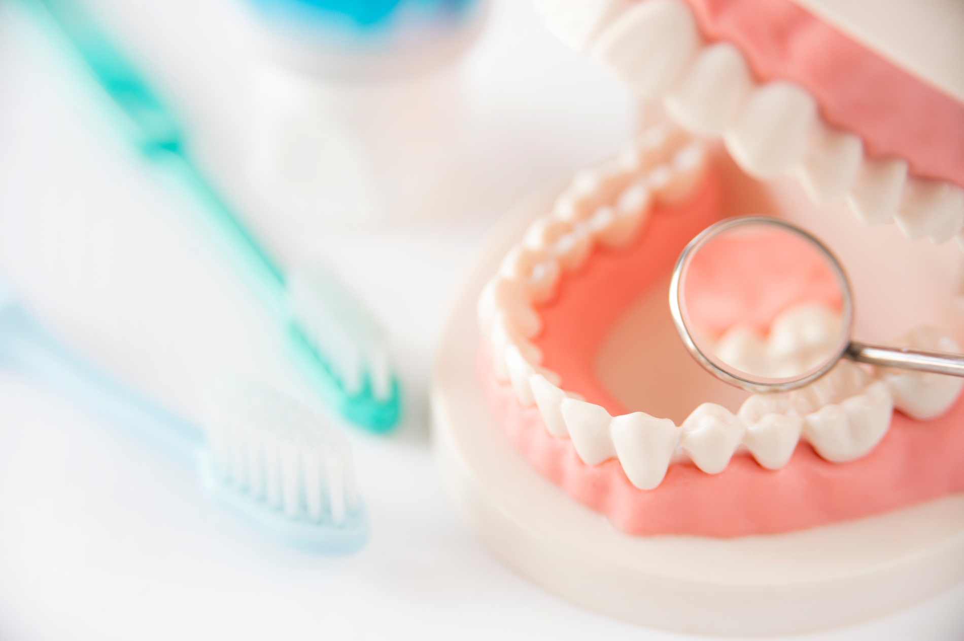 AdobeStock_248419392